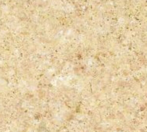 Un primer plano de una superficie granular de color beige, posiblemente una textura de piedra o arena adornada con una concha dorada, que sugiere una decoración marina.